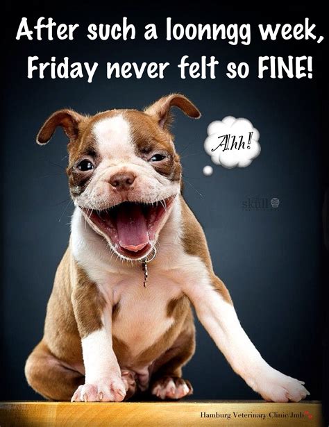 Free funny good friday meme 2019, good friday funny pictures, photos, images, pics, greetings cards. Friday Humor: Smile! Dog Funny - Long week! After such a long week, Friday never felt so fine ...