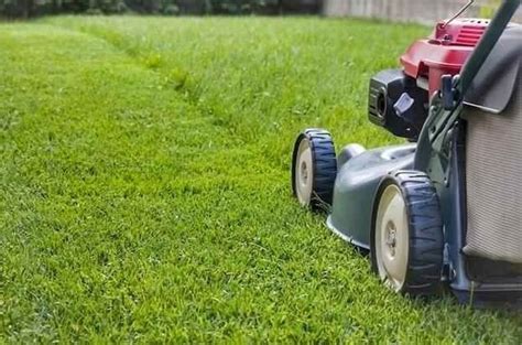 Grass Cutting And Grounds Maintenance Works Ore Valley Housing Association