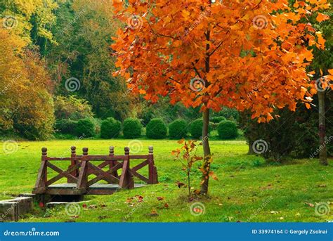 Wooden Bridge In The Autumn Park Stock Photo Image Of Golden Outdoor