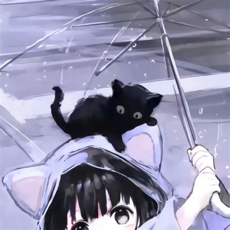 Shared By ೃ༄ Find Images And Videos About Cute Anime And Cat On We