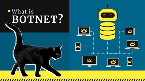 What Is A Botnet Ddos And Botnet Attacks In 2024