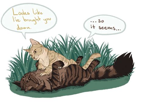 So It Seems By Annmy Warrior Cats Art Warrior Cats Funny Warrior Cats Books