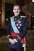 Le roi Felipe VI d'Espagne - Photos officielles des membres de la ...
