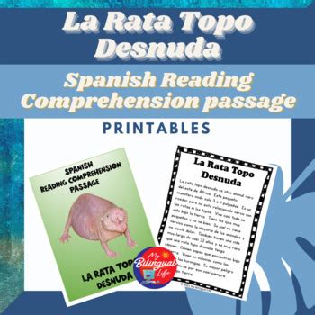 Spanish Reading Comprehension Activity Printables Naked Mole Rat My Xxx Hot Girl