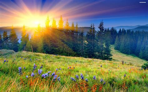 Beautiful Spring Morning Wallpapers Top Free Beautiful Spring Morning