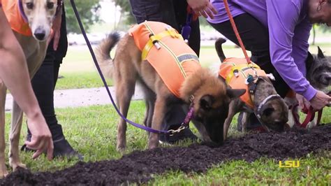 Stephenson Pet Clinic Groundbreaking 🐶 - YouTube