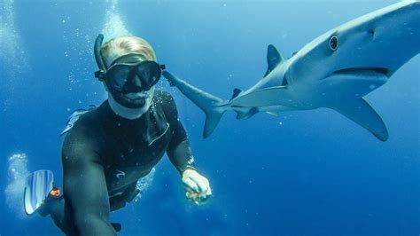 How To Go Scuba Diving With Sharks And Be With Them