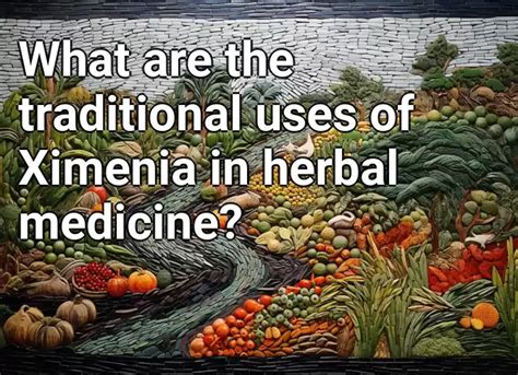 What Are The Traditional Uses Of Ximenia In Herbal Medicine