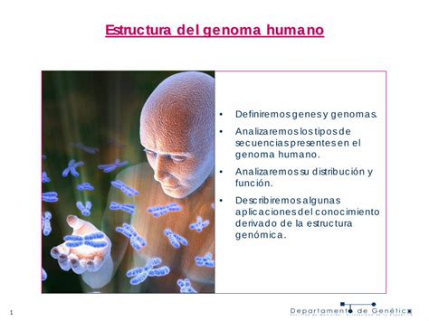 pdf estructura del genoma humano genetica fmed edu uy segundo nivel hot sex picture