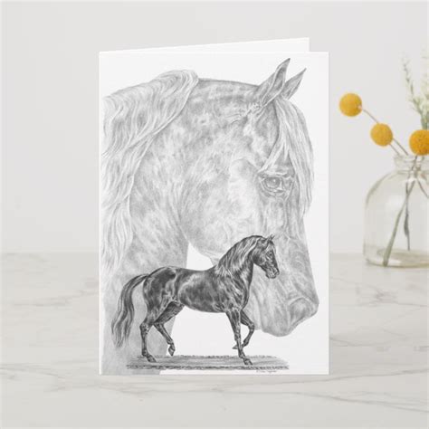 Paso Fino Horse Drawing By Kelli Swan Card In 2021 Horse