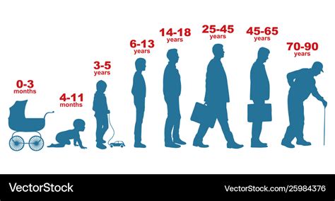 Man In Different Ages Growth Stages People Vector Image
