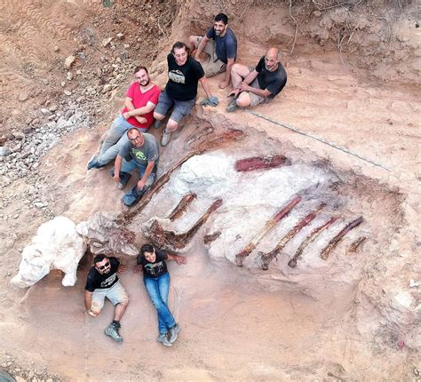 Giant Sauropod Dinosaur Skeleton Unearthed In Portugal Scinews
