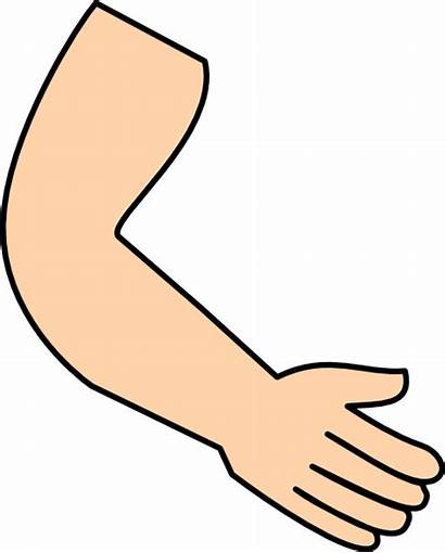 Arm Hand Arms Cartoon Clip Clipart Cliparts