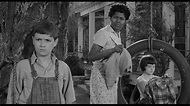 To Kill A Mockingbird Wallpapers - Wallpaper Cave