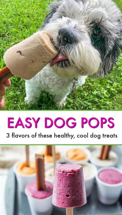 Easy Dog Pops 3 Flavors To Treat Your Pup This Summer Dog