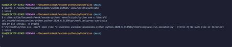 If i just type python, it freezes. pyvsc-run-isolated slashes not escaped in Git Bash on Windows · Issue #13005 · microsoft/vscode ...