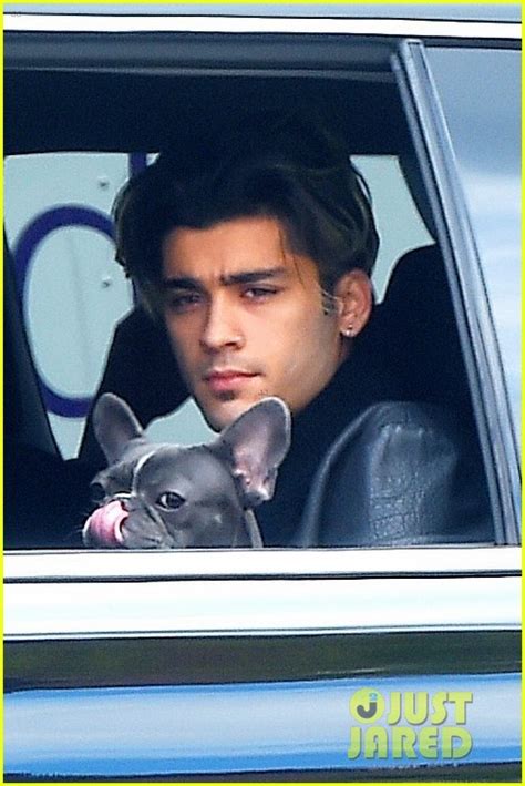 Zayn Malik Enjoys A Ride With A Cute Pup In Nyc Photo 1086985