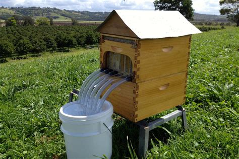 Flow Hive Update The Permaculture Research Institute