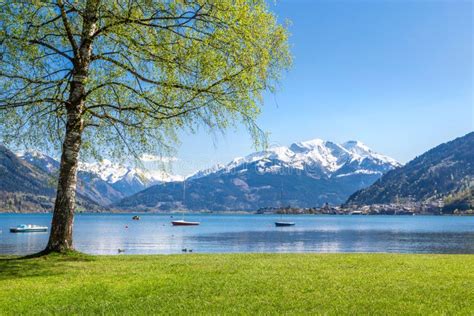 Lake Zell In Summer Salzburg Austria Stock Photo Image Of Nature