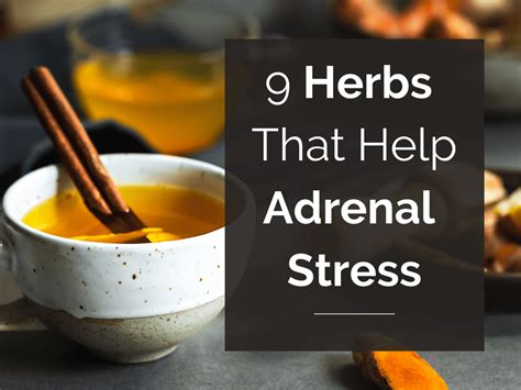 9 Herbs That Help Adrenal Stress