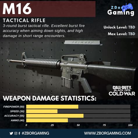 Tactical Rifle Infographics For Black Ops Cold War Zbor Gaming