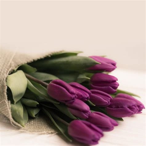 Send Purple Tulips Our 10 Purple Tulips In A Bouquet To Kuwait