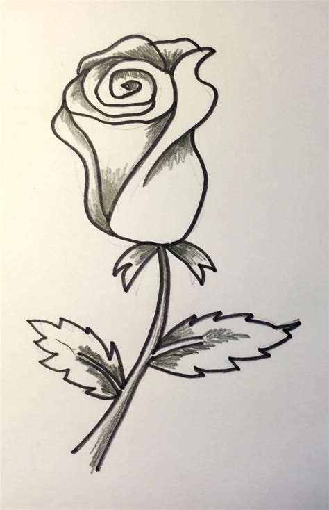 Rosas Flores Dibujos Para Dibujar A Lapiz Faciles Images And Photos