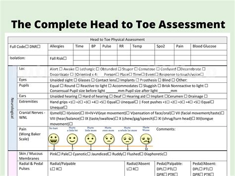 Nurse Report Sheet Template Head To Toe Assessment Checklist Etsy