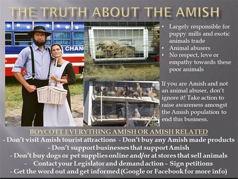Ohio and lancaster county, pennsylvania: Amish puppy mills | Babylon The Great/False Religion ...