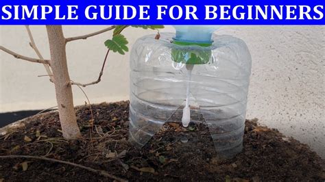 Diy Drip Irrigation Transforming A Water Bottle And Q Tip Into A Smart