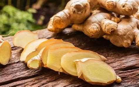 It gives cats a great way to balance their digestion and relieve anxiety. Can Cats Eat Ginger - Safety + Benefits | Pet Care Advisors
