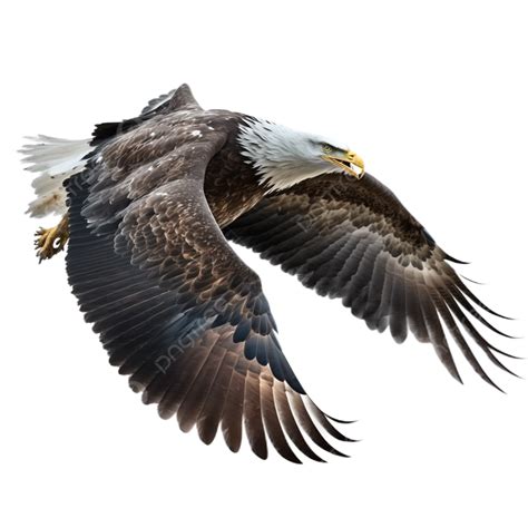 The Eagles Wings Are Transparent On A White Background Eagle Wing