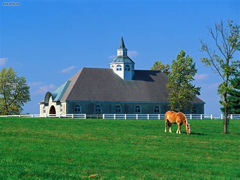 Known Places Donamire Horse Farm Lexington Kentucky