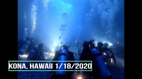 Manta Ray Night Dive Kona Hawaii Youtube
