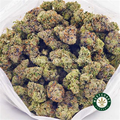 Buy Purple Skunk Aaaa Online West Coast Cannabis