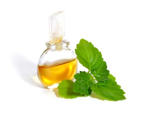 13 Wonderful Benefits Of Patchouli Essential Oil Natural Food Series