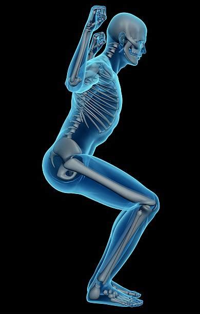 Full Body Xray Stock Photos Pictures And Royalty Free Images Istock