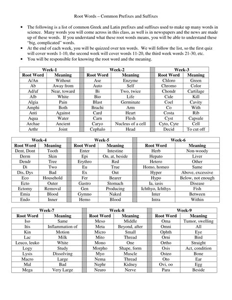 Root Words Common Prefixes And Suffixes • The Following Is A List