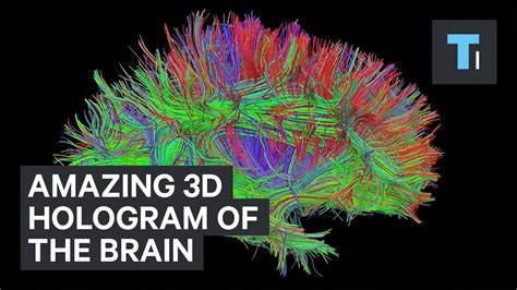 3d Hologram Of The Brains Connections Youtube