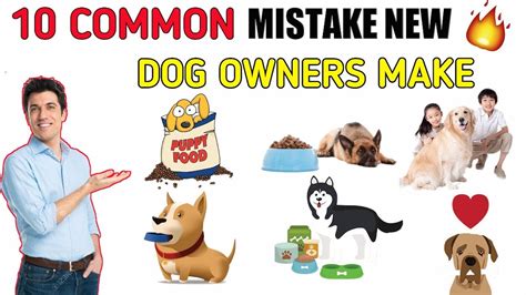 10 Common Mistake New Dog Owner Make In Hindi Common Mistake New