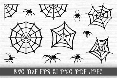 Spider Clipart Svg For Cricut Spider Svg Black Widow Clip Art Black