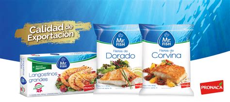 Arriba Imagen Mariscos Mr Fish Abzlocal Mx