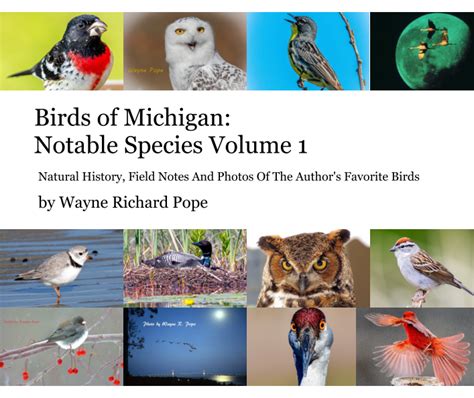 Birds Of Michigan Notable Species Volume 1 By Wayne Richard Pope