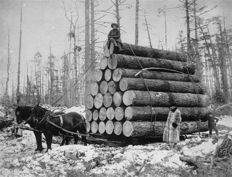 history lesson lumber industry brought wealth to region including saratoga countypublished jan
