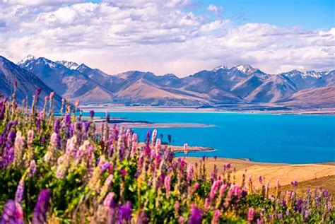 Official site of new zealand tourism, business, and investment. 12x Tips voor wie gaat reizen in Nieuw-Zeeland