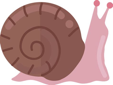 Snail Clipart Free Download Transparent Png Creazilla