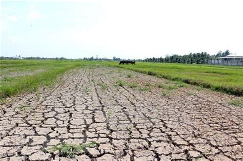 Mekong Delta Region Faces Water Shortages Saline Intrusion Vietnam Water Portal
