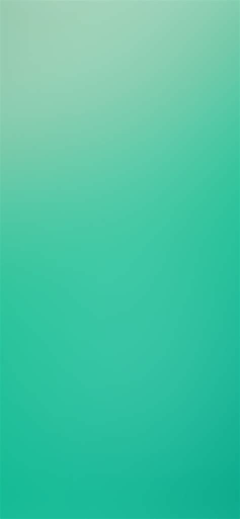 iPhoneXpapers.com-Apple-iPhone-wallpaper-si79-soft-spring-green-emerald