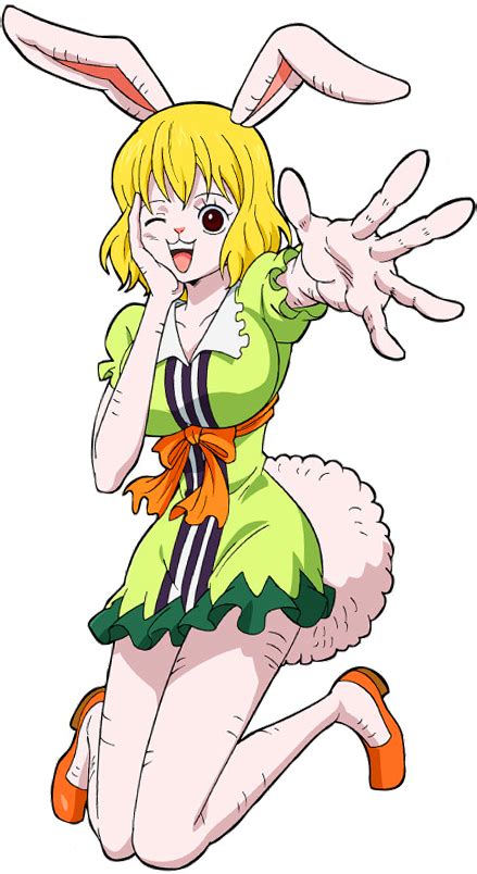 Carrot One Piece Manga Popular Anime One Piece Comic