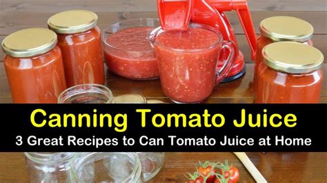 tomato juice canning recipes tipsbulletin